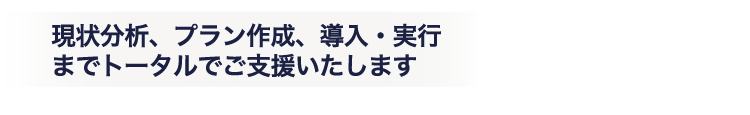 現状分析、プラン作成、導入・実行までトータルでご支援いたします